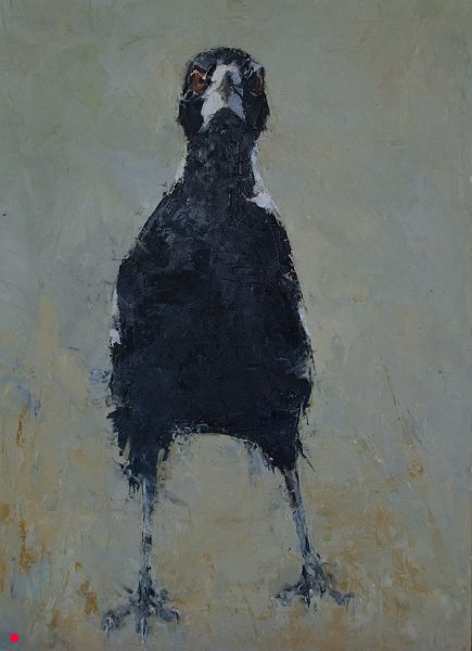 Magpie VI - 20cm x 27cm